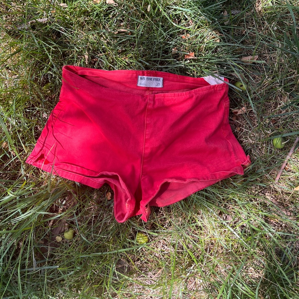 Free People Sahara Micro Shorts